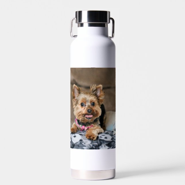 Tiny Dynao Trinkflasche (Vorne)