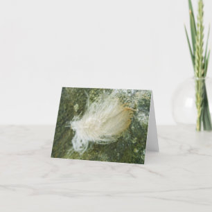 Tiny Feather Note Card Karte