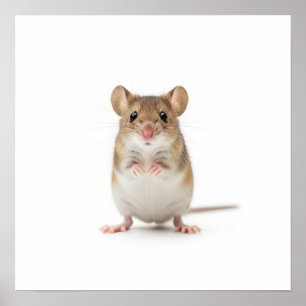 Tiny Field Mouse Art Poster