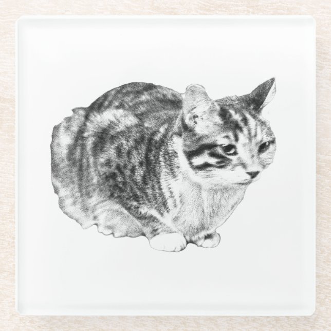 Tiny Gallery: Tabby on Cushion Glasuntersetzer (Vorderseite)