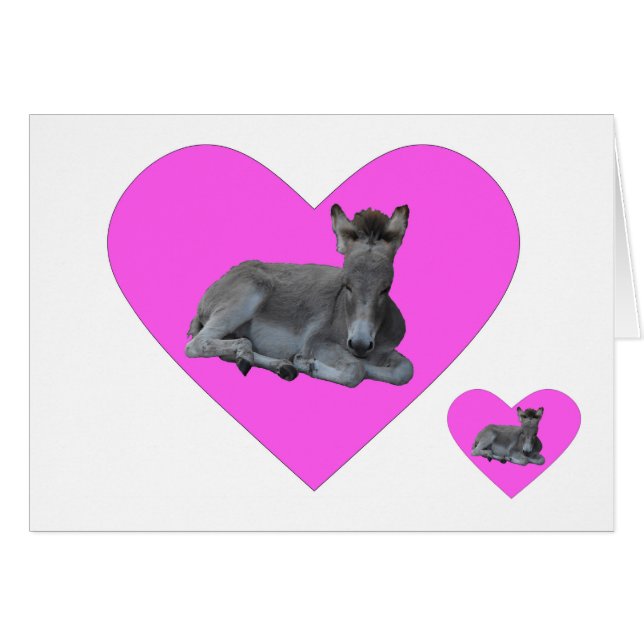 Tiny Grey Donkey Foal in Big Pink Heart (Vorderseite (Horizontal))