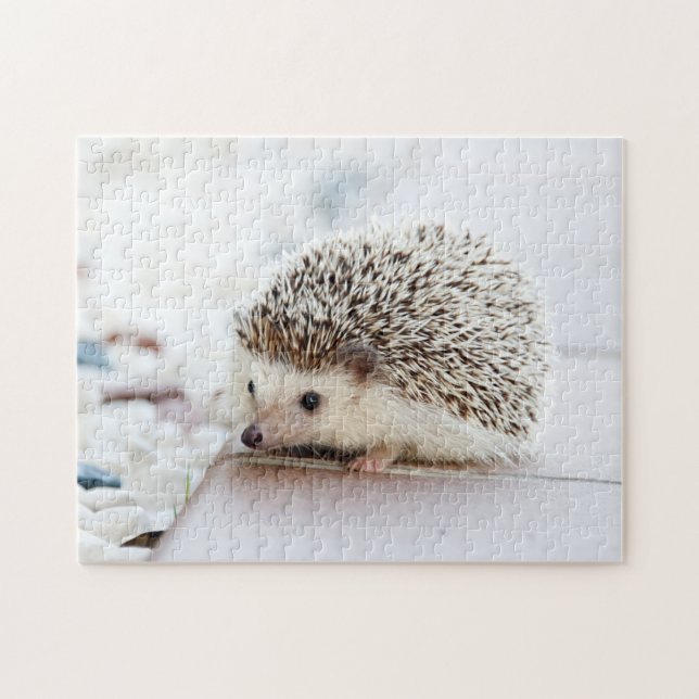 Tiny Igel (Horizontal)