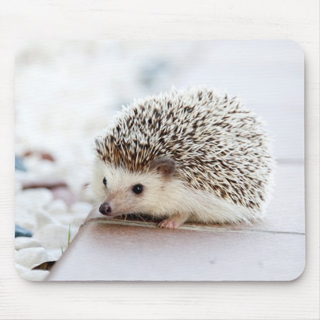 Tiny Igel Mousepad (Vorne)