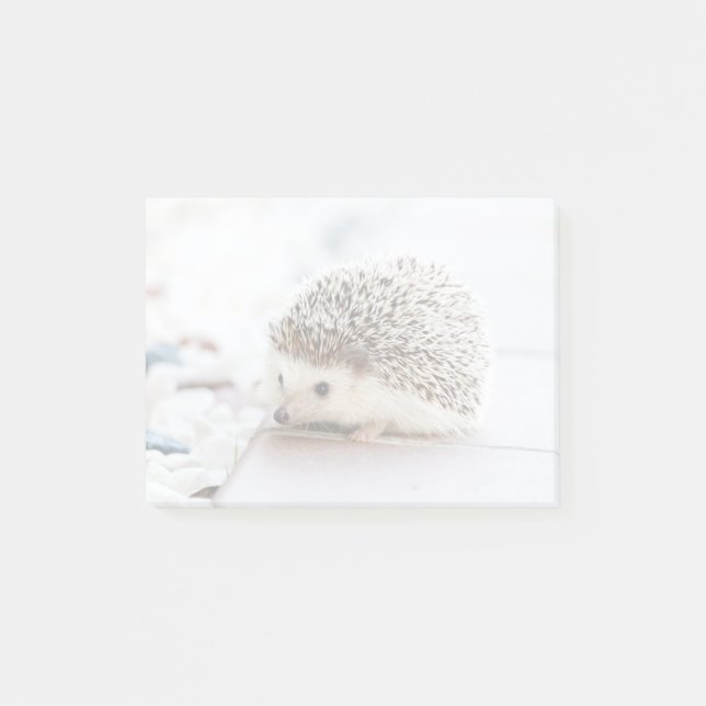 Tiny Igel Post-it Klebezettel (Vorderseite)