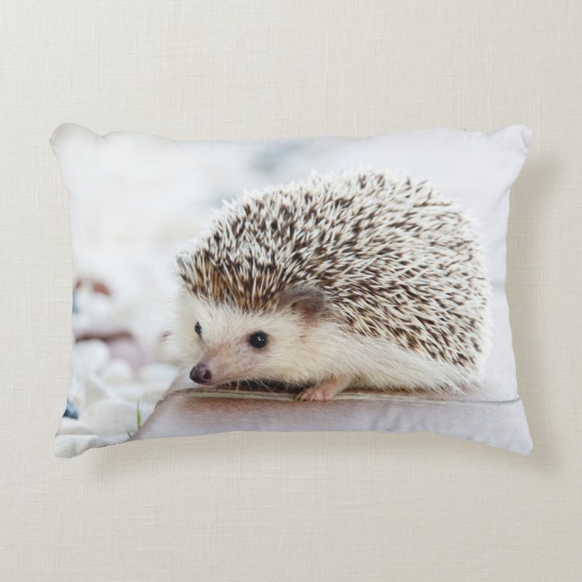 Tiny Igel Zierkissen (Vorderseite)