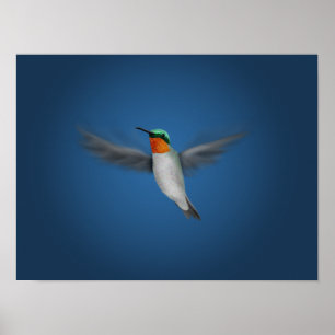 Tiny Illustriert Hummingbird Poster