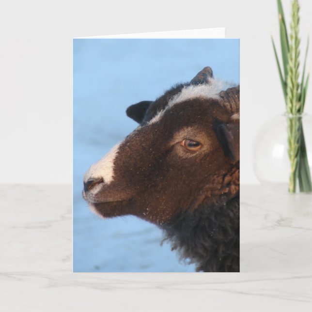 Tiny Karte (Vorderseite)