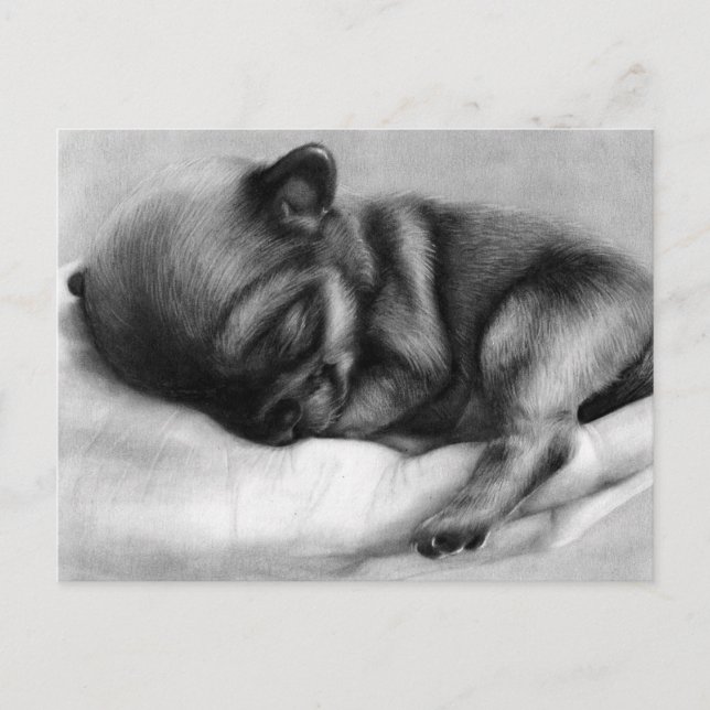 Tiny Life - Hand bemalt Chihuahua Newborn Postkarte (Vorderseite)