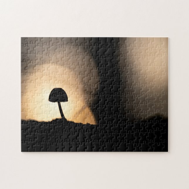 Tiny Mushroom Nature Foto (Horizontal)
