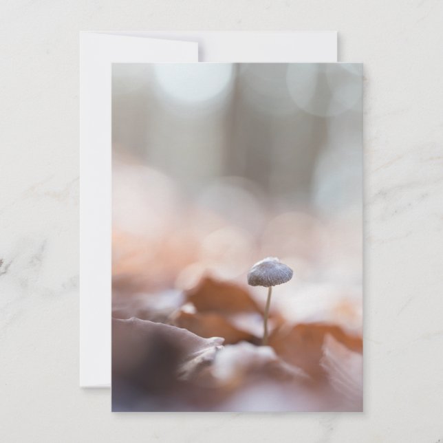 Tiny Mushroom Nature Foto Card (Vorderseite)