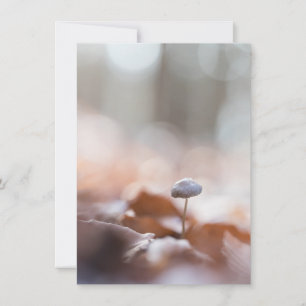 Tiny Mushroom Nature Foto Card