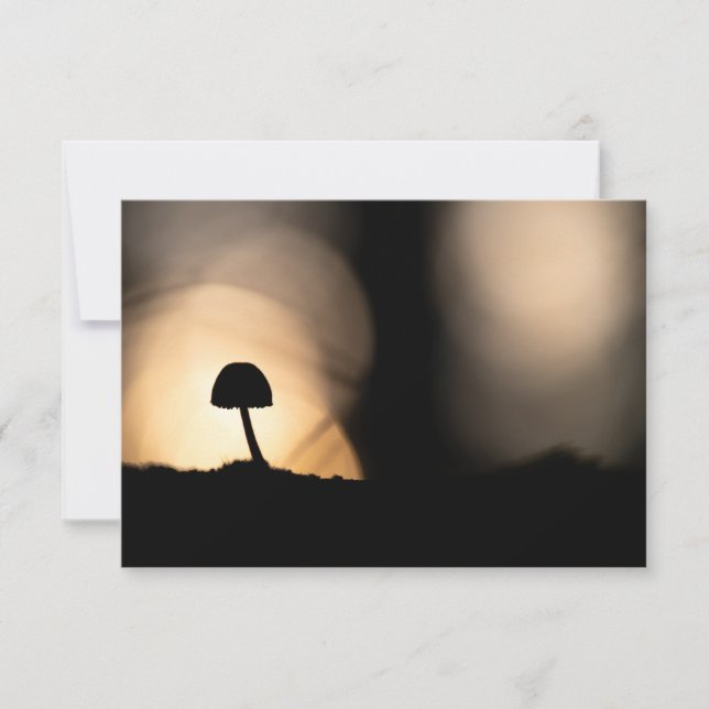 Tiny Mushroom Nature Foto Card (Vorderseite)