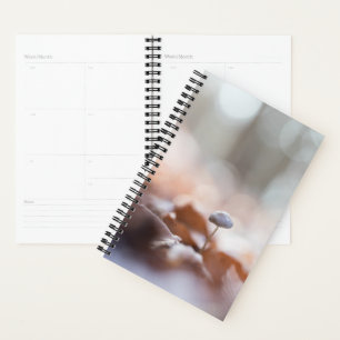 Tiny Mushroom Nature Foto Card Planer
