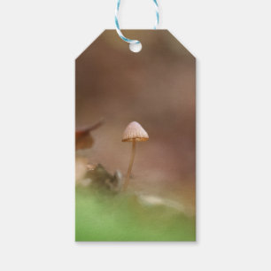 Tiny Mushroom Nature Foto Geschenkanhänger