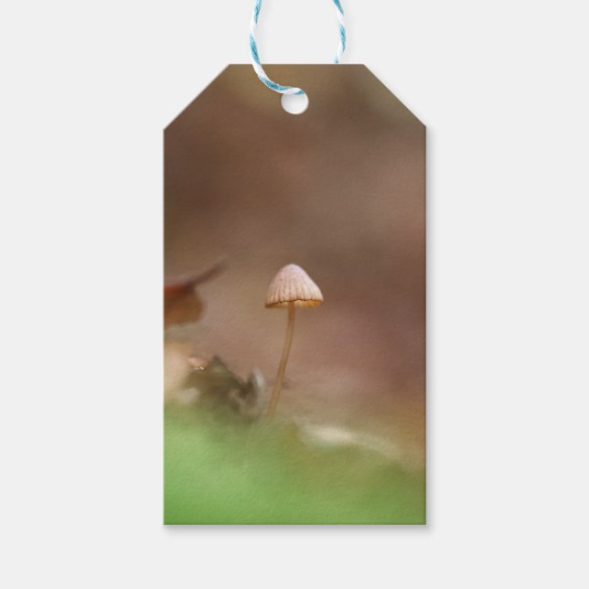 Tiny Mushroom Nature Foto Geschenkanhänger (Vorderseite)