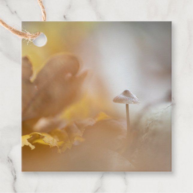 Tiny Mushroom Nature Foto Geschenkanhänger (Vorderseite)
