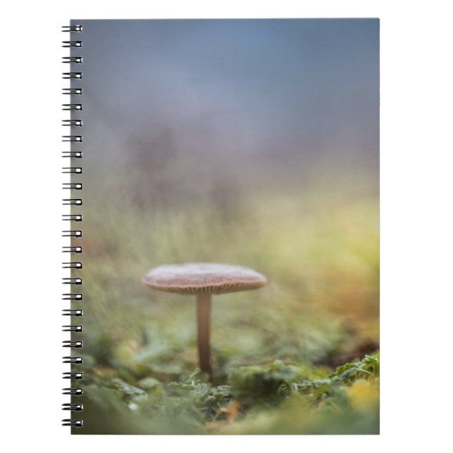 Tiny Mushroom Nature Foto Notizblock (Vorderseite)