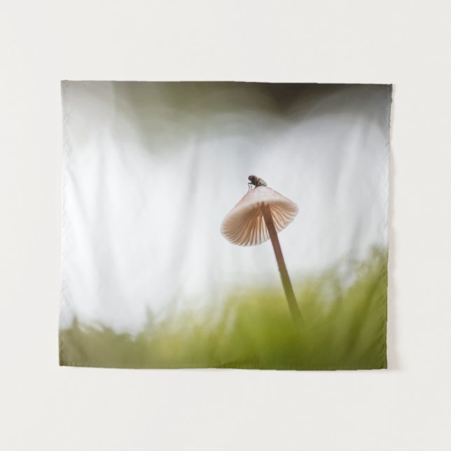Tiny Mushroom Nature Foto Wandteppich (Vorderseite (Horizontal))