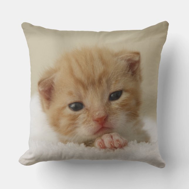 Tiny Orange Kitten Kissen (Vorderseite)