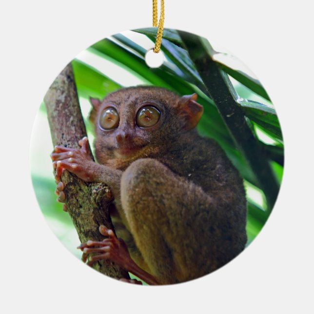 Tiny Philippine tarsier Keramikornament (Vorne)