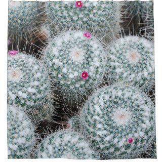 Tiny Pink Blume Cactus Pflanze Duschvorhang