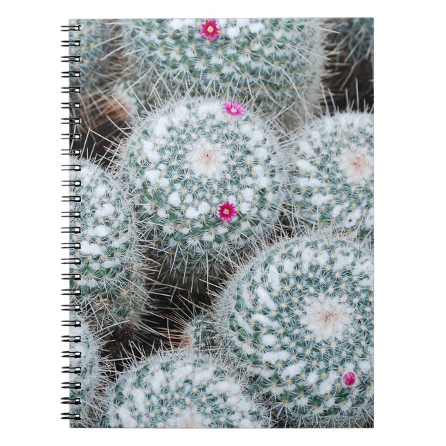 Tiny Pink Blume Cactus Pflanze Notizblock (Vorderseite)