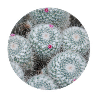 Tiny Pink Blume Cactus Pflanze Schneidebrett
