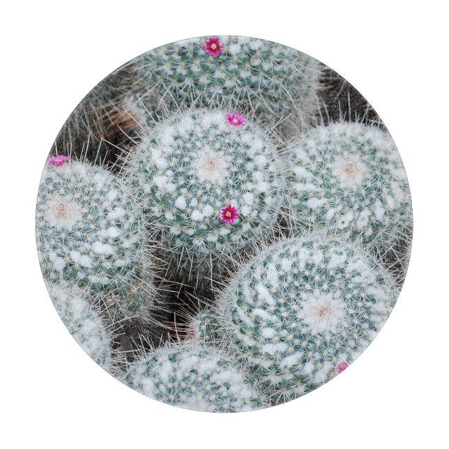 Tiny Pink Blume Cactus Pflanze Schneidebrett (Vorderseite)