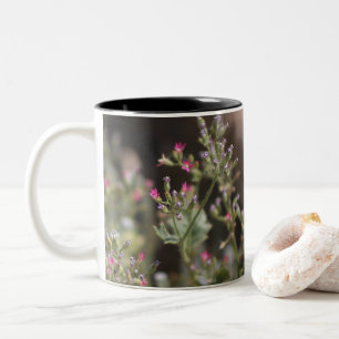 Tiny Pink Wildblumen Coachella Valley Wildlife Tw Zweifarbige Tasse