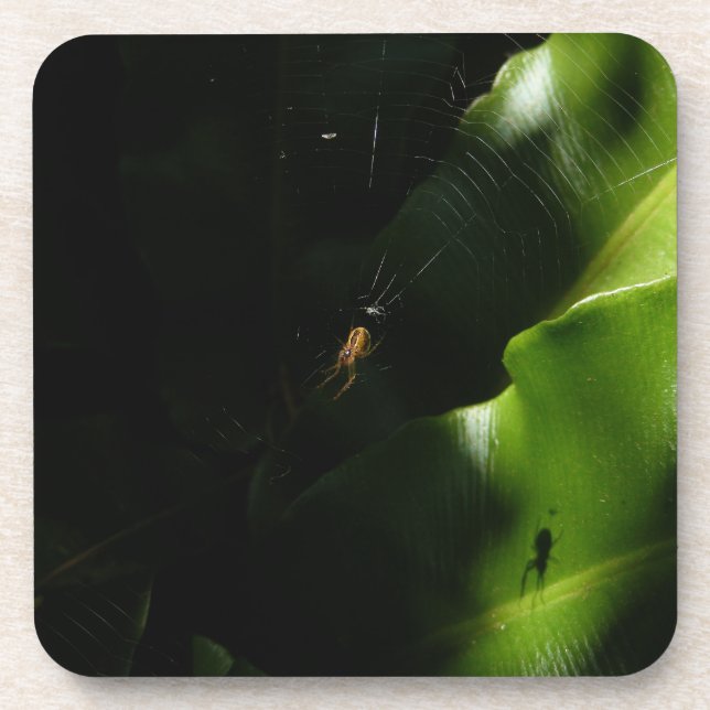 Tiny Spider Untersetzer (Vorderseite)
