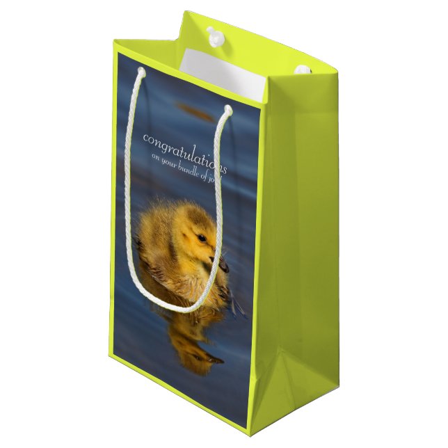 Tiny Swimmer: Kanadisches Gänsedchen Kleine Geschenktüte (Vorderseite Schrägansicht)