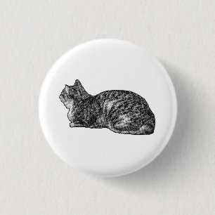 Tiny Tabby, Big Poise Button
