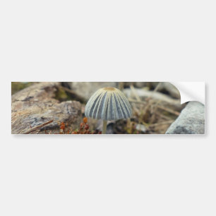 Tiny Toadstool Autoaufkleber