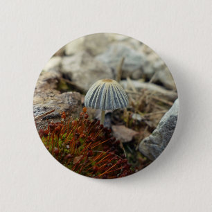 Tiny Toadstool Button