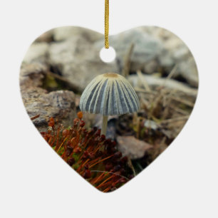 Tiny Toadstool Keramik Ornament