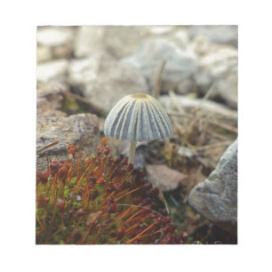 Tiny Toadstool Notizblock