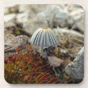 Tiny Toadstool Untersetzer