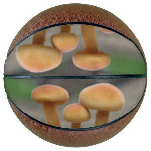 Tiny Toadstools Macro Basketballs