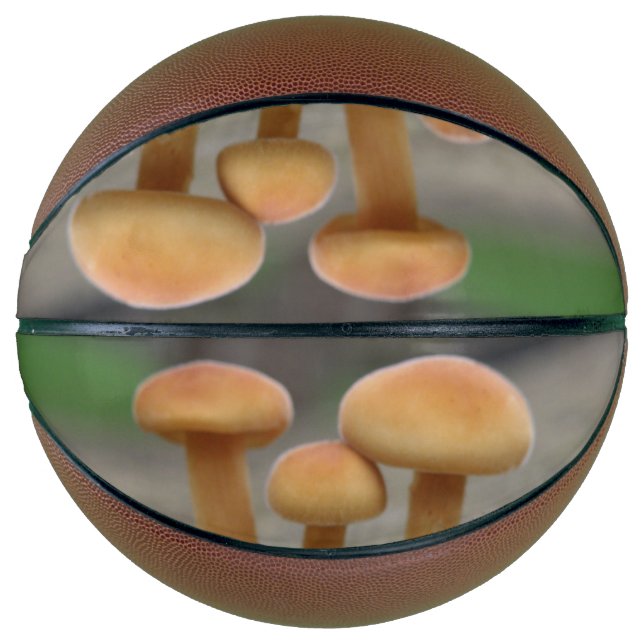 Tiny Toadstools Macro Basketballs (Vorderseite)