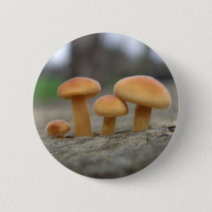 Tiny Toadstools Macro Button
