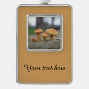 Tiny Toadstools Macro Custom Ornament Rahmen-Ornament Silber