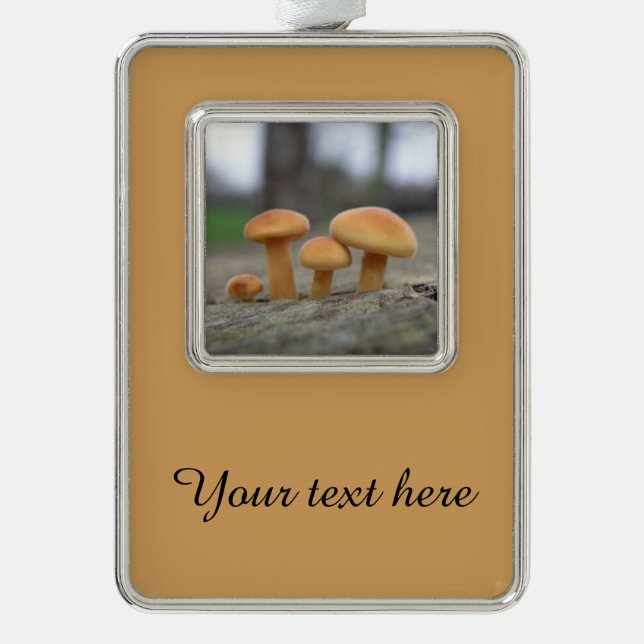 Tiny Toadstools Macro Custom Ornament Rahmen-Ornament Silber (Vorderseite)