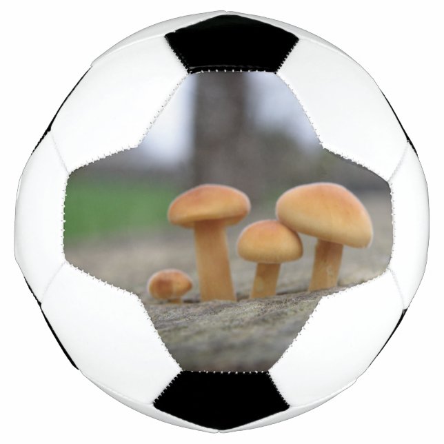 Tiny Toadstools Macro Soccer Ball (Vorderseite)