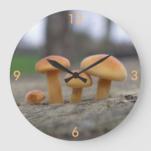 Tiny Toadstools Macro Wall Clock Große Wanduhr (Vorderseite)