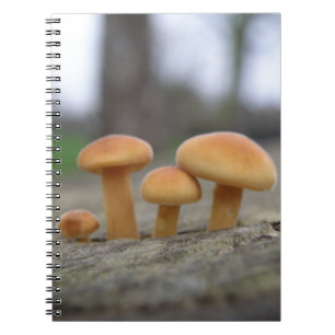 Tiny Toadstools Makro-Notebook Notizblock