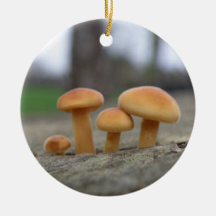Tiny Toadstools Makro Ornament