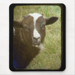 Tiny wird groß mousepad