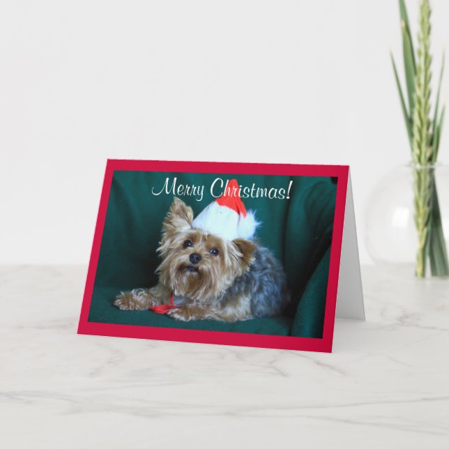Tiny Yorkie in Weihnachtsmannmütze Feiertagskarte (Vorderseite)
