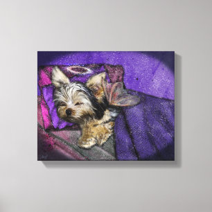 Tiny Yorkie Sleeping Angel Halo Memorial Art Leinwanddruck