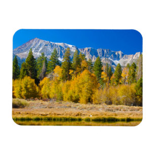 Tioga Pass im Yosemite-Nationalpark Magnet